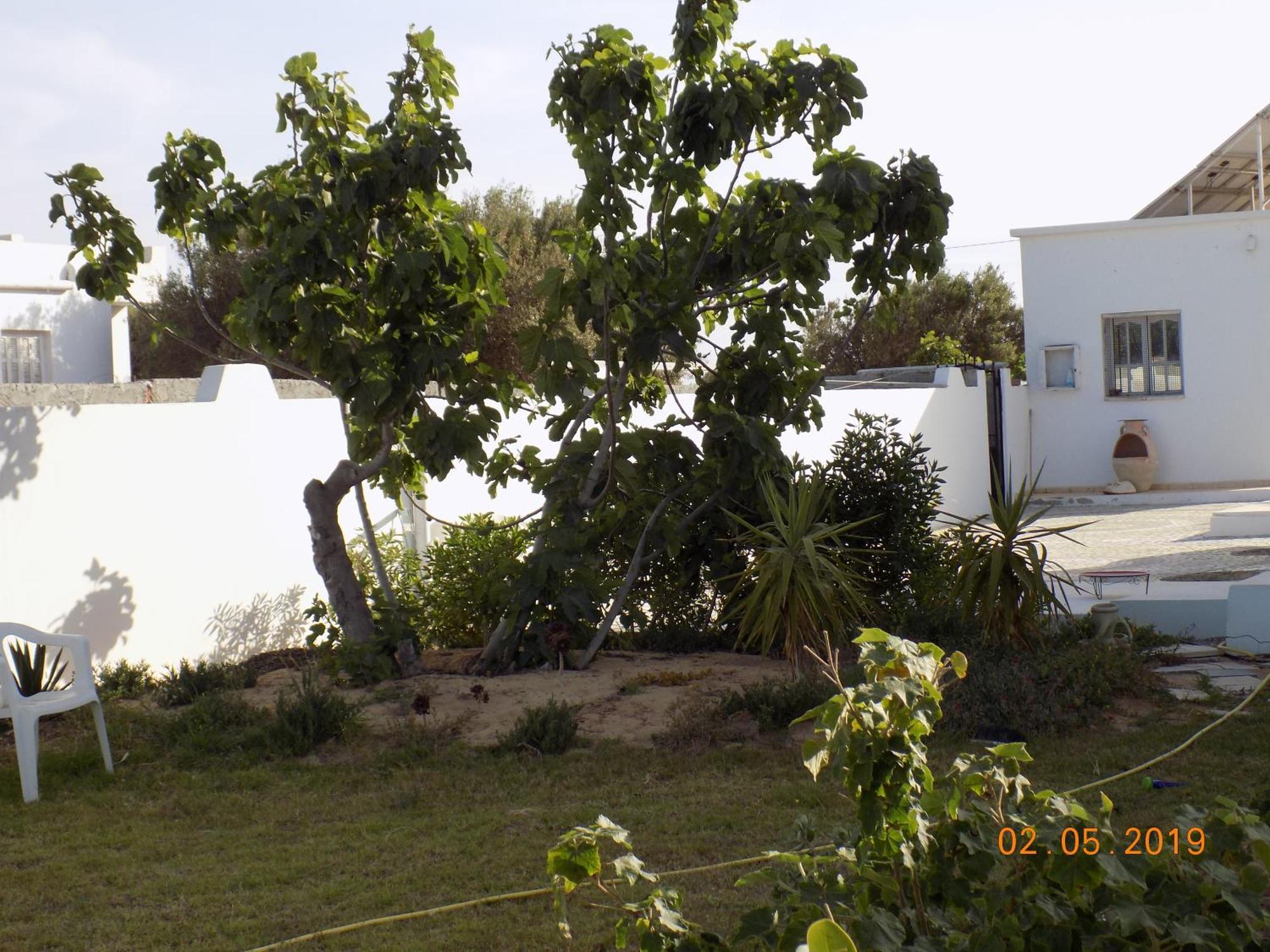 Dar Mamina Bed and Breakfast Sidi ash Shammakh Eksteriør billede
