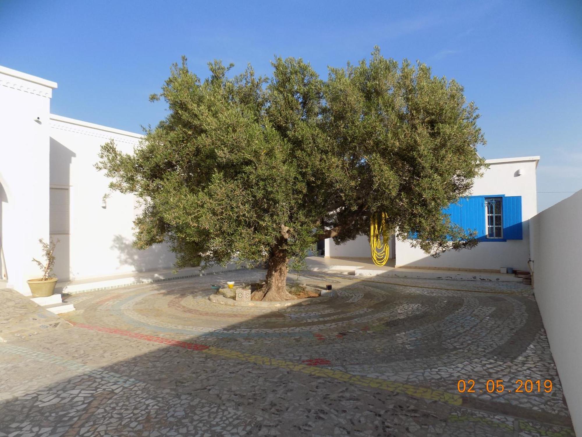 Dar Mamina Bed and Breakfast Sidi ash Shammakh Eksteriør billede